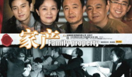 电视剧《家产》,家族纷争下的情感与命运交织