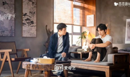 那一天电视剧在线观看完整版,穿越时空的浪漫邂逅