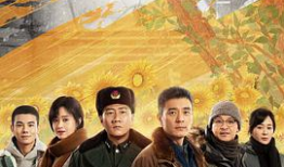 那一天电视剧在线观看完整版,穿越时空的浪漫邂逅