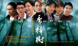 香樟树电视剧,岁月流转中的青春记忆