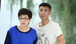 电视剧幸福请你等等我,探寻现代都市情感纠葛的温暖篇章