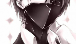 动漫酷图片,捕捉光影中的青春记忆