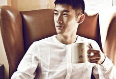 刘芮麟演过的电视剧,多面角色演绎，魅力四射的荧屏之星