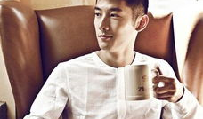 刘芮麟演过的电视剧,多面角色演绎，魅力四射的荧屏之星