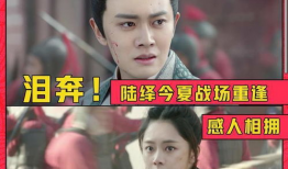 电视剧榜单,盘点年度热门剧集，揭秘观众心选佳作
