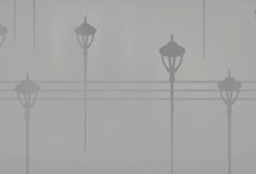 毛片动漫,探索虚拟世界中的毛发艺术与情感表达