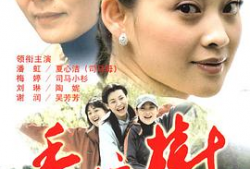 香樟树电视剧,岁月流转中的青春记忆