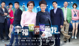 电视剧幸福请你等等我,探寻现代都市情感纠葛的温暖篇章