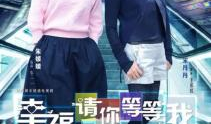 电视剧幸福请你等等我,探寻现代都市情感纠葛的温暖篇章